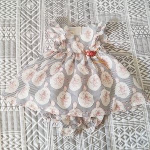 18 month Dillards Dress & Bloomers